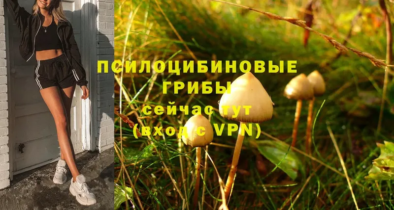 Псилоцибиновые грибы MAGIC MUSHROOMS  Красноармейск 